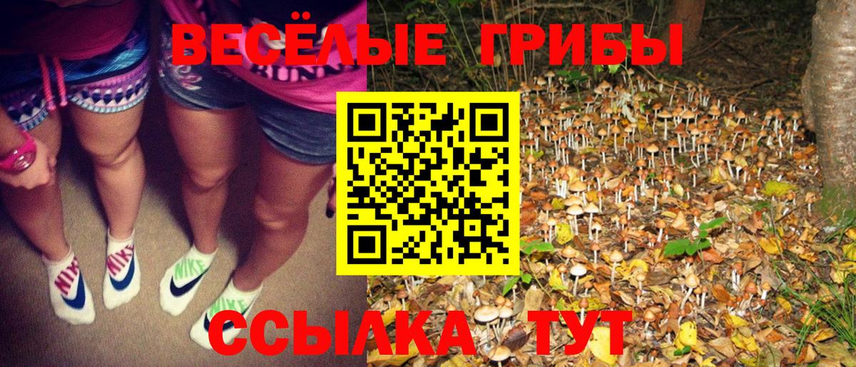 Асино  Галлюциногенные грибы Psilocybe  Вход с VPN 