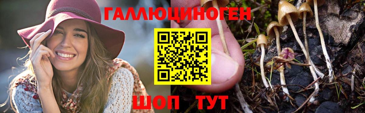 Псилоцибиновые грибы прущие грибы Асино